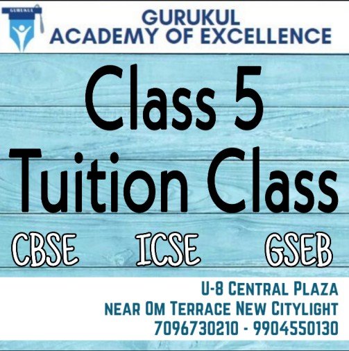 Class 5 Tuition Class