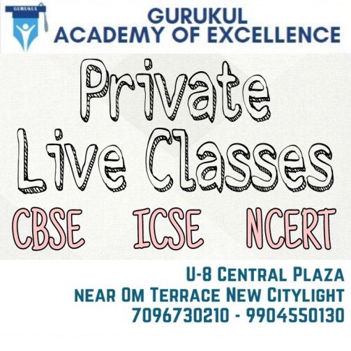 Private Live Classes